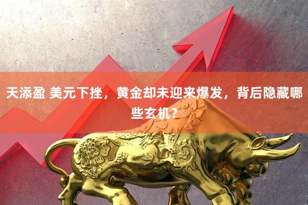 天添盈 美元下挫，黄金却未迎来爆发，背后隐藏哪些玄机？