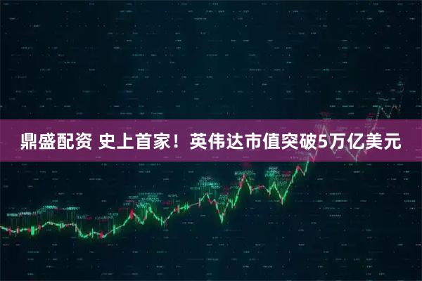 鼎盛配资 史上首家！英伟达市值突破5万亿美元
