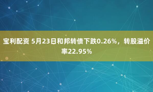宝利配资 5月23日和邦转债下跌0.26%，转股溢价率22.95%